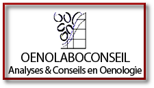 oenolaboconseil.com